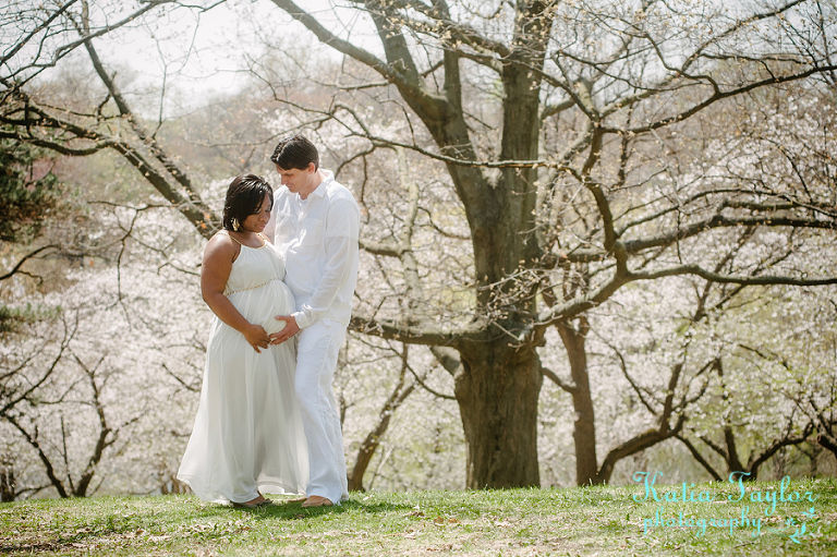 Toronto Maternity Photos-High Park-Cherry Blossom-003