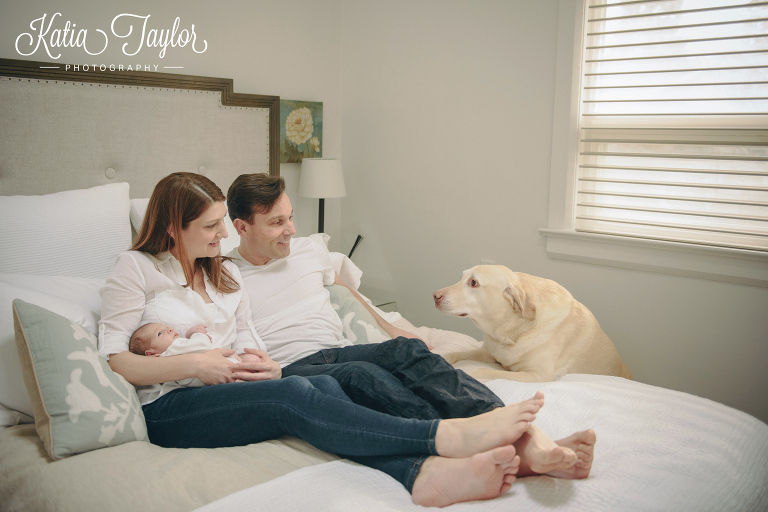 The family dog jumps up to see new baby in the bed. Toronto lifestyle newborn photos. www.katiataylorphotography.com