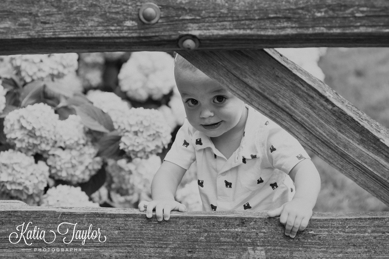 Little boy pees out from behind a wooden gate. Toronto Family Photography