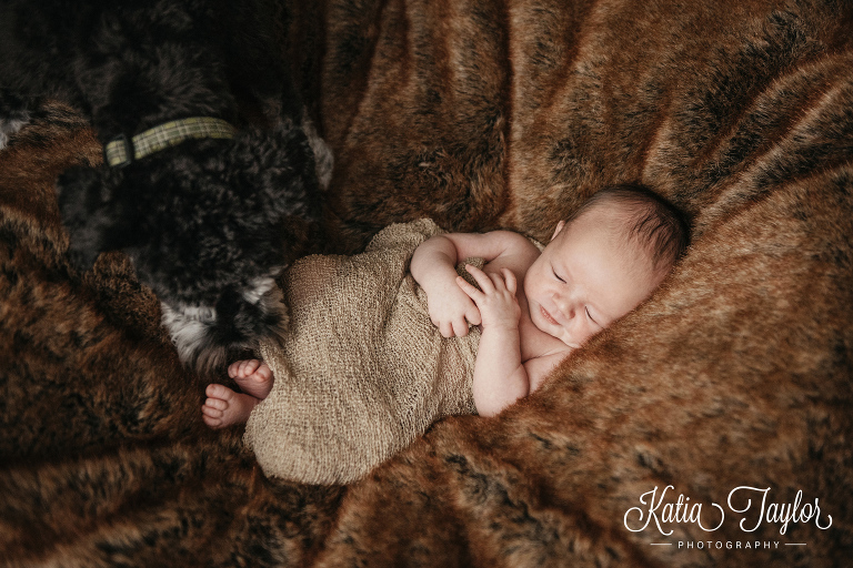 Newborn baby boy being kissed by a puppy. Toronto newborn baby photographer.