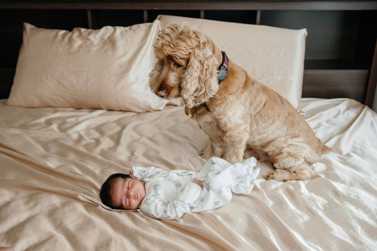 Newborn baby boy and his dog