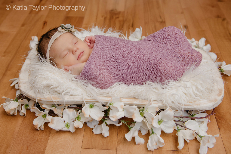 A newborn baby girl in a basket surrounded by flowers